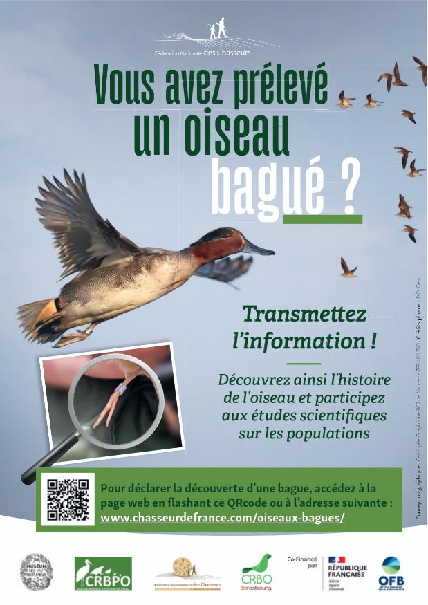 Affiche A6 Avimark V2.indd C25 PJ 02 Flyer A6 Avimark