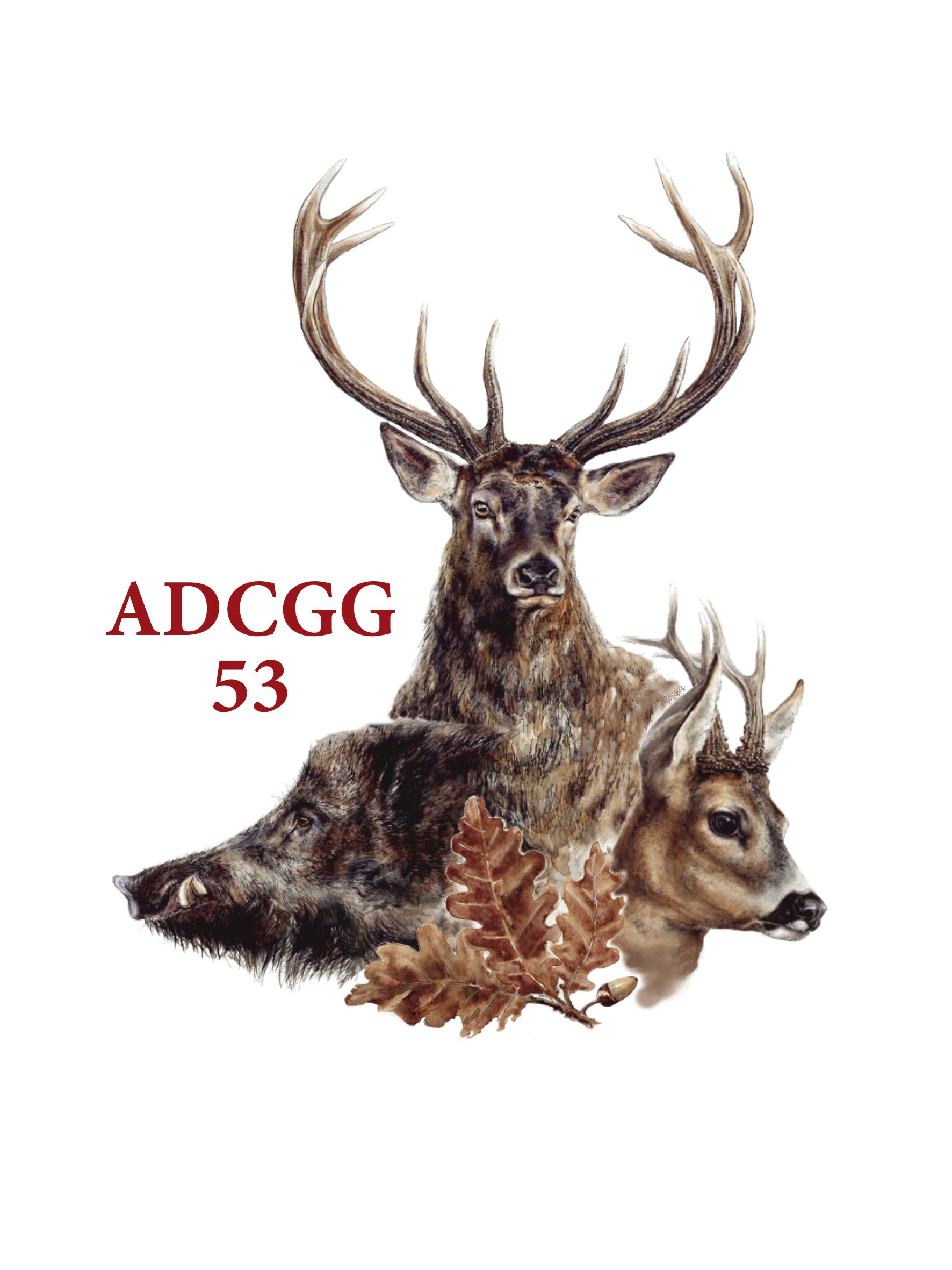 logo ADCGG53 compressed