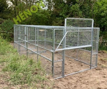 cage henon