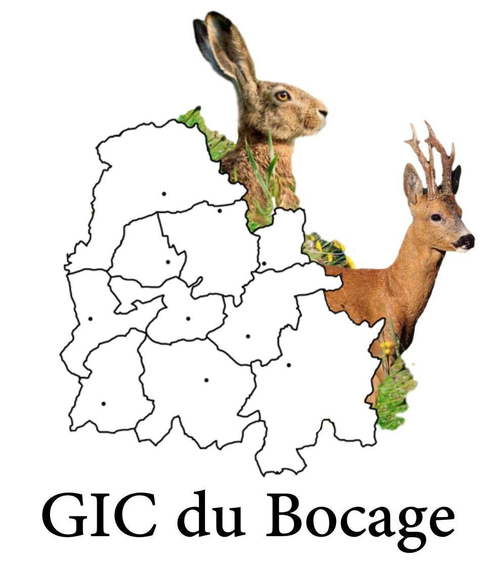 Logo GIC compressed