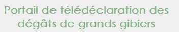 decla degat